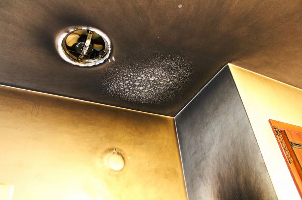 Cost of Smoke Damage Removal in Sanford